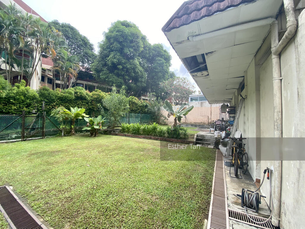 Neo Pee Teck Lane (D5), Terrace #270306211